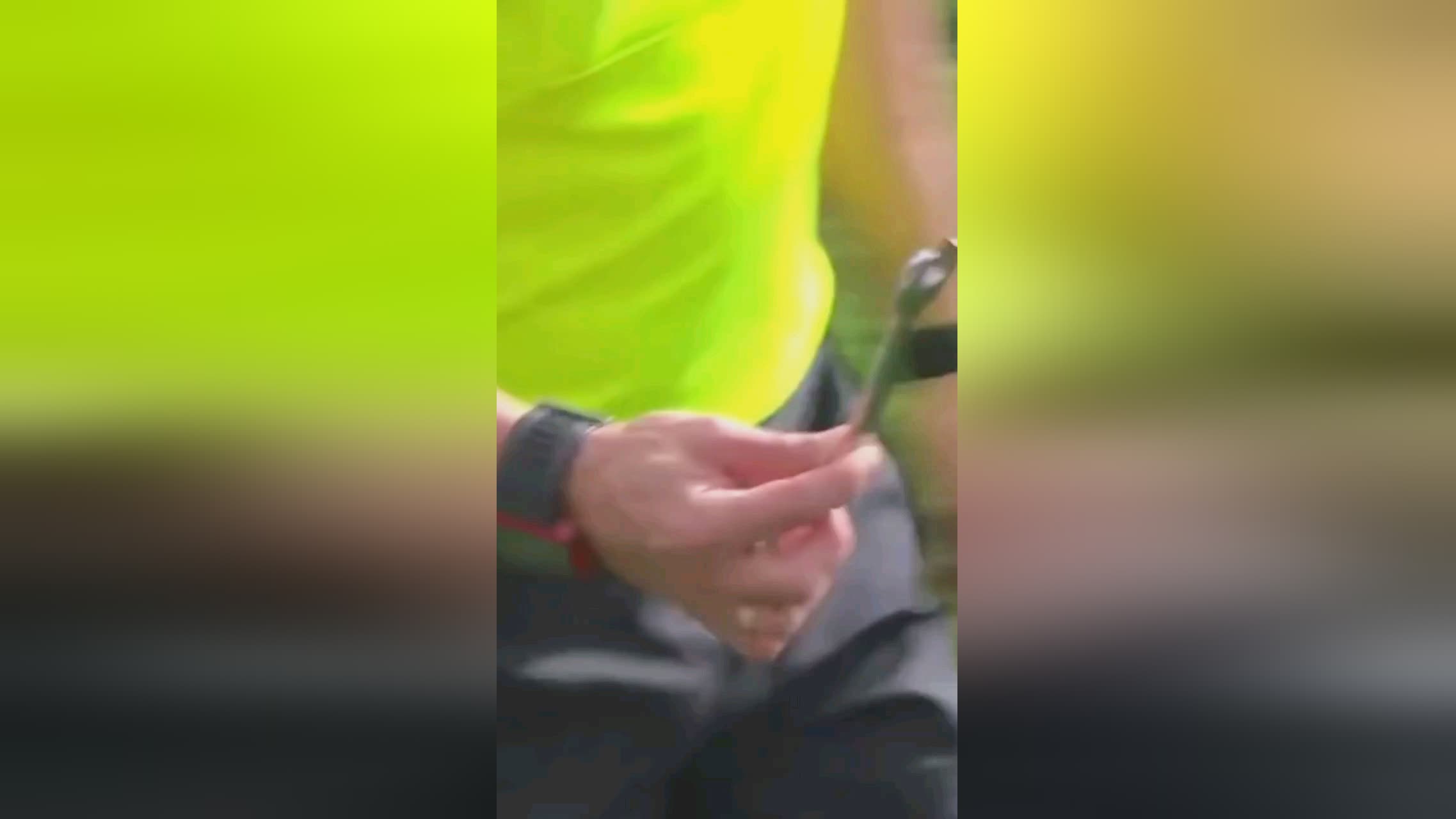 创卫，我们在行动！